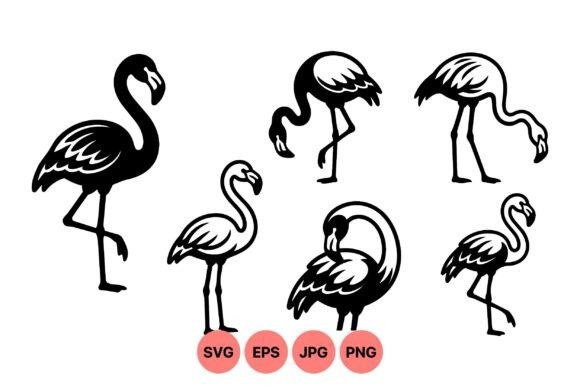 Black Flamingo Graphics: Editorial Illustrations Review