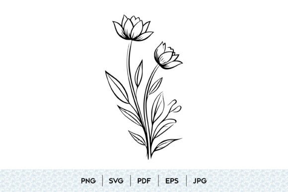 Botanical Flower Line Art Graphics and Illustrations