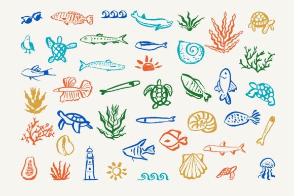 Coastal Whimsical Graphics for Local Branding