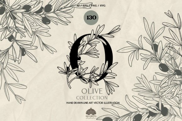 Olive Line Art Collection: A Designer's Review
